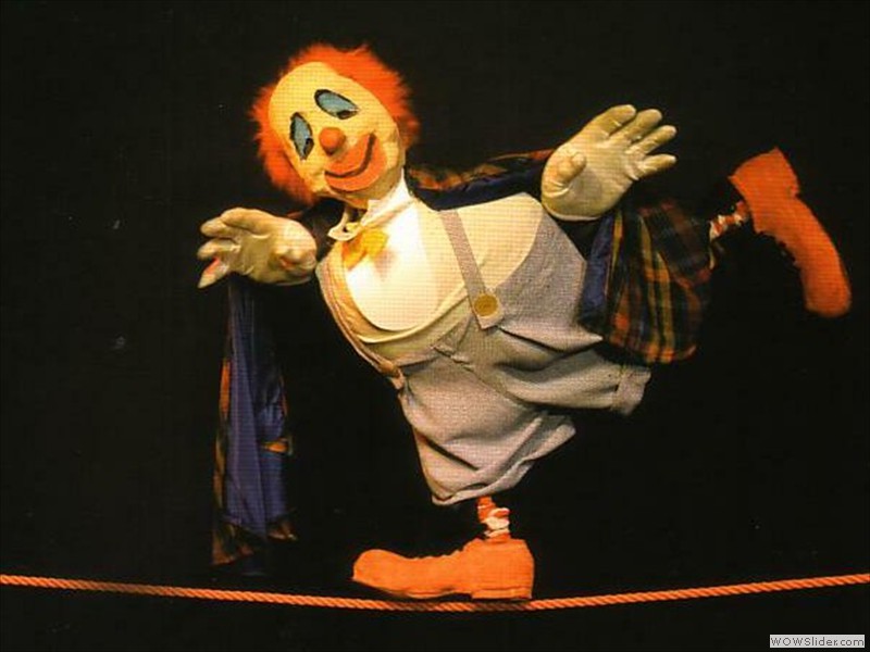 Schmusetiere unter sich